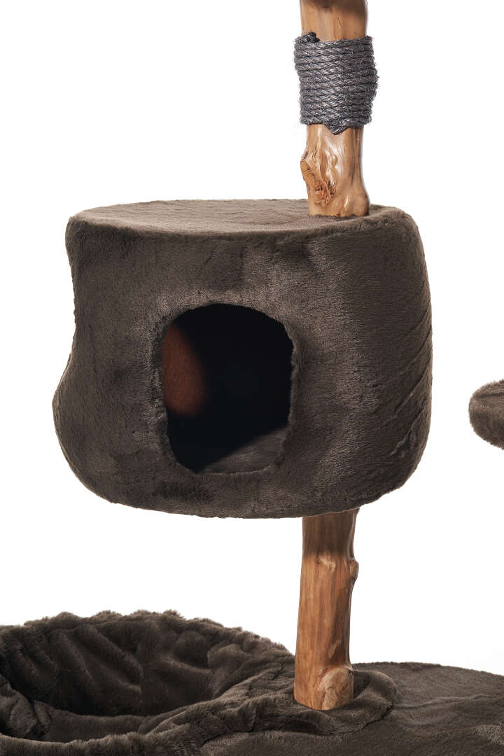 Nobby Kratzbaum Gena